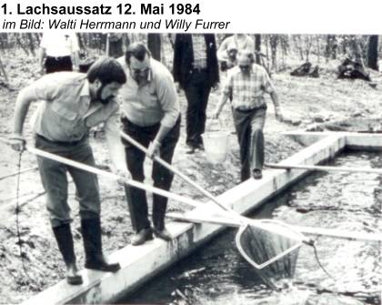 lachseinsatz